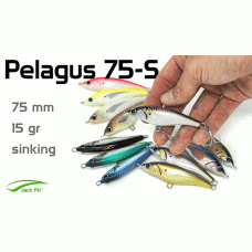 PELAGUS 75 S - JACK FIN