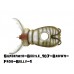 Artificiale Molix Hybrid Baits SUPERNATO BEETLE