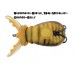 Artificiale Molix Hybrid Baits SUPERNATO BEETLE