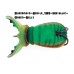 Artificiale Molix Hybrid Baits SUPERNATO BEETLE